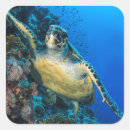 Suche nach rotes meer aufkleber Nautisch