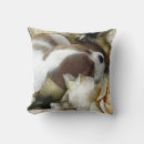 Suche nach blenheim kissen Cavalier king charles spaniel