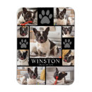 Suche nach hunde beileid magnete Dogs