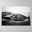 Suche nach schnitt poster Blau