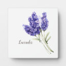 Suche nach lavendel fotoplatten Aquarell