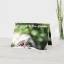 Suche nach schildkröte karten Grün