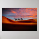 Suche nach desert landscape poster Nature