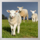 Suche nach vertical poster Animal