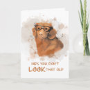 Suche nach hund mit brille karten Kaninchen