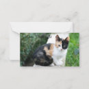 Suche nach lustig kleine grußkarten Katze