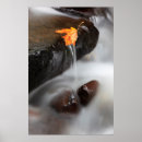 Suche nach tanne poster Herbst