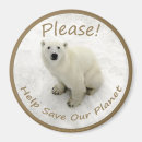 Suche nach eisbären magnete Polar
