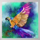 Suche nach exotische vögel poster Farbenfroh