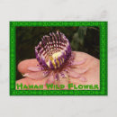 Suche nach hawaii blumen postkarten Hawaiisch