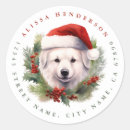 Suche nach weihnachtshund Grün