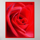 Suche nach romantische rote rose poster Valentine