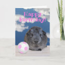 Suche nach meerschweinchen geburtstag karten Alles gute zum geburtstag
