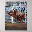 Suche nach rodeo poster Pferd