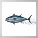 Suche nach thunfisch poster Meeresleben