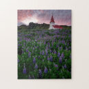 Suche nach lila wildblumen puzzle Wiese
