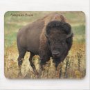 Suche nach amerikanischer büffel mousepads Tier