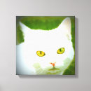 Suche nach kittycat Tiere