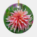Suche nach rund fotodruck Blume