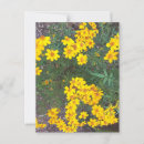Suche nach hellgelb postkarten Gelbe blumen