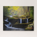 Suche nach wasserfall puzzle Wald