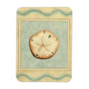 Suche nach muschel magnete Megan meagher