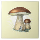 Suche nach mushroom fliesen Vintag