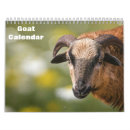 Suche nach lamm kalender Tier