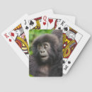 Suche nach gorilla spielkarten Wald