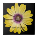 Suche nach gelbe blume fliesen Botanisch
