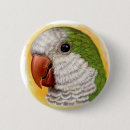 Suche nach parakeet accessoires Papagei