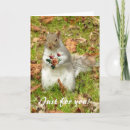 Suche nach valentinsgrüße karten Eichhörnchen