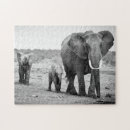 Suche nach kenia puzzle Afrikanischer elefant