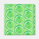 Suche nach limoner magnet magnete Sauer