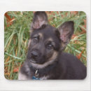 Suche nach schäferhundwelpe Schäferhundhund