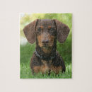 Suche nach weiner puzzle Welpen