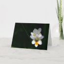 Suche nach schwarzer hintergrund karten Flora