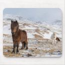 Suche nach isländisch mousepads Pony