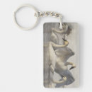 Suche nach in yellowstone accessoires Winter