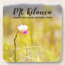 Suche nach orchideen blume untersetzer Hawaii