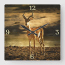 Suche nach impala poster Savanne