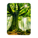 Suche nach baumstämme magnete Natur