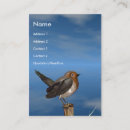 Suche nach robin visitenkarten Vogelbeobachter