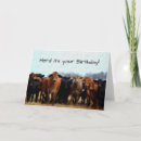 Suche nach kuh spaß karten Ranch