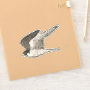 Suche nach falken aufkleber Vögel