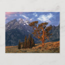 Suche nach zeder postkarten Landschaft