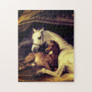Suche nach landseer puzzle Pferde