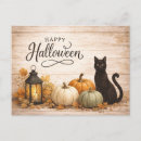 Suche nach bunte katzen postkarten Schwarze katze