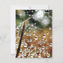 Suche nach zaun postkarten Natur