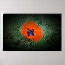 Suche nach mohn poster Sommer